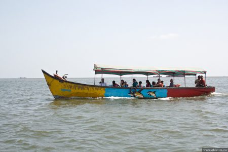 Экскурсии к дельфинам (Северное Гоа)