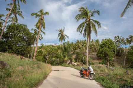 История аренды скутера на острове Тао