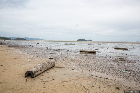 В какое время года лучше ехать в Таиланд?