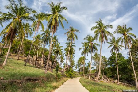 Пляж Sai Daeng Beach на Тао